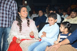 Brahmotsavam Audio Function